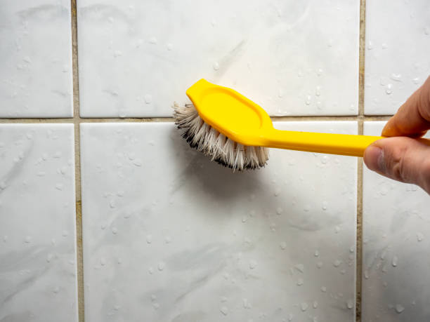 Best Home Mold Removal  in James Island, SC