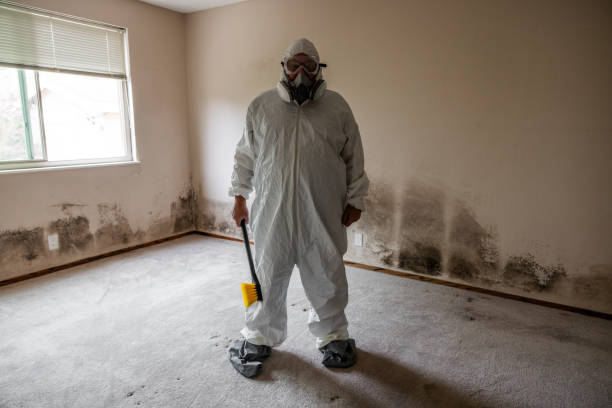 Best Emergency Mold Removal  in James Island, SC